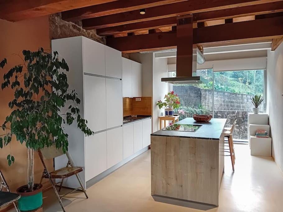 Casa A Criscada Villa Fornelos de Montes Eksteriør bilde